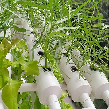 XENITE Hydroponics System PVC Pipe Hydroponics Growing System 36 Holes, Hydroponic, Large Grid Planting Basket, Suitable for Beginners, with Water Tank 0826ColorPads Style