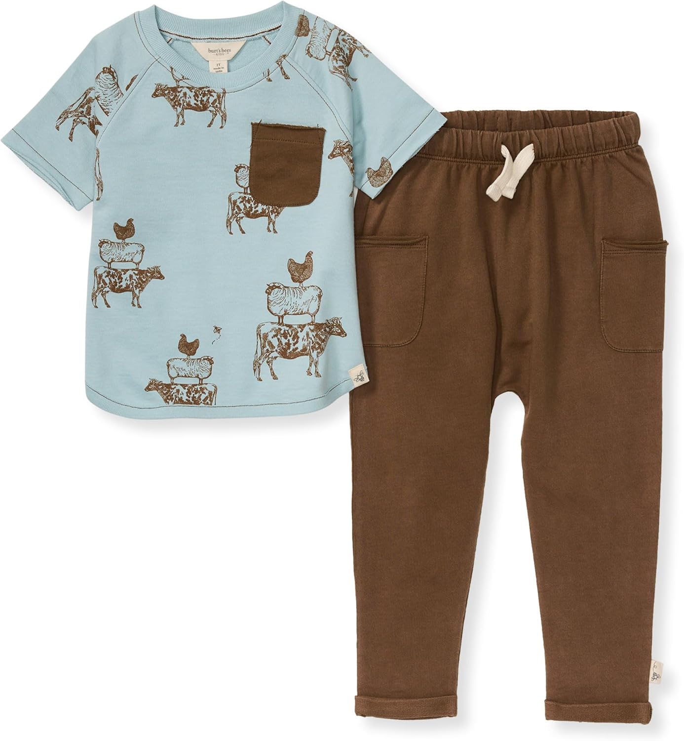 Burt's Bees Baby Baby Boys Short Sleeve Shirt and Pant Set, Top & Bottom Outfit Bundle, 100% Organic Cotton