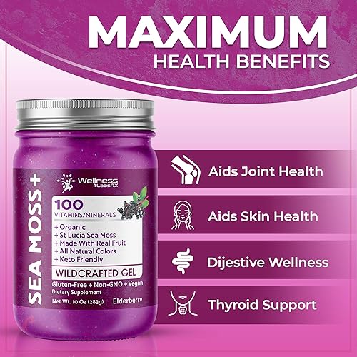 Miniatura 3 de Irish Sea Moss Gel orgánico crudo  Gel de masa marina de superalimento silvestre  Sabor a baya de saúco, rico en vitaminas y minerales de aguas