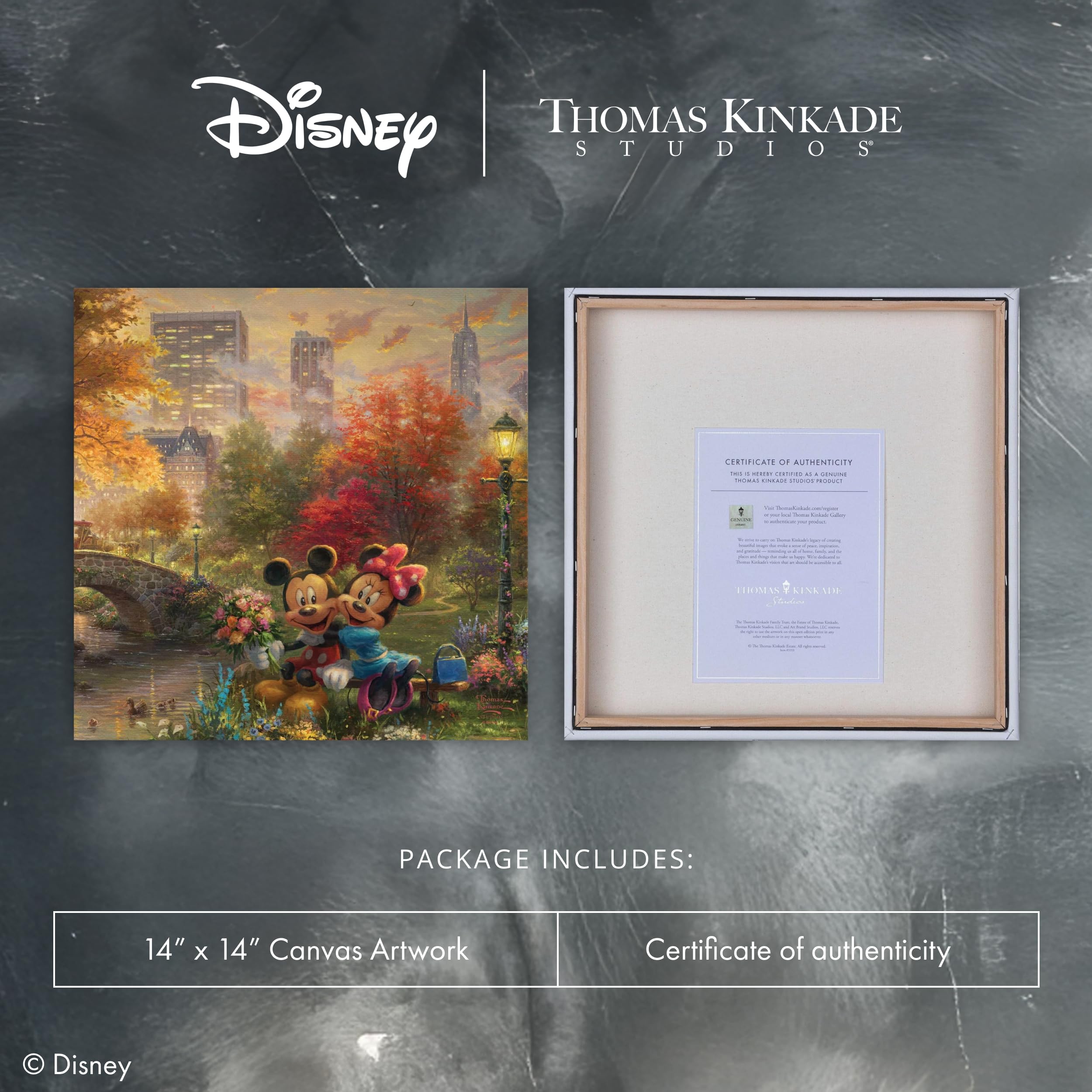 Amazon.com: Thomas Kinkade Mickey and Minnie Central Park 14