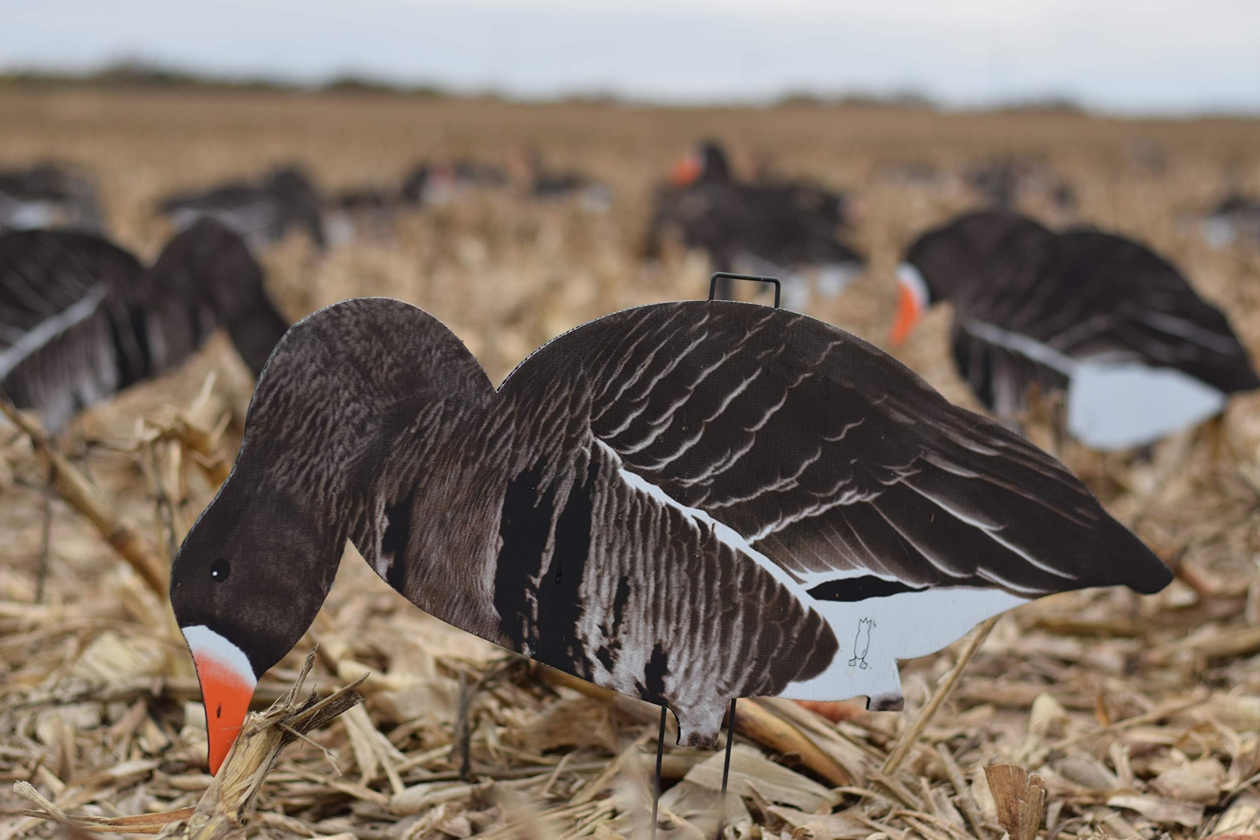 Goose Silhouettes: Specklebelly Design by Divebombindustries