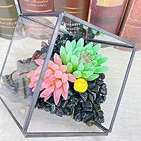 Vista 6 de Grava de Cristal de Obsidiana Negra Pulida, Piedras de Cuarzo de 0.3-0.4" Chips Tipo Guisante, Piedra Natural Triturada, Rocas Pulidas, Gemas