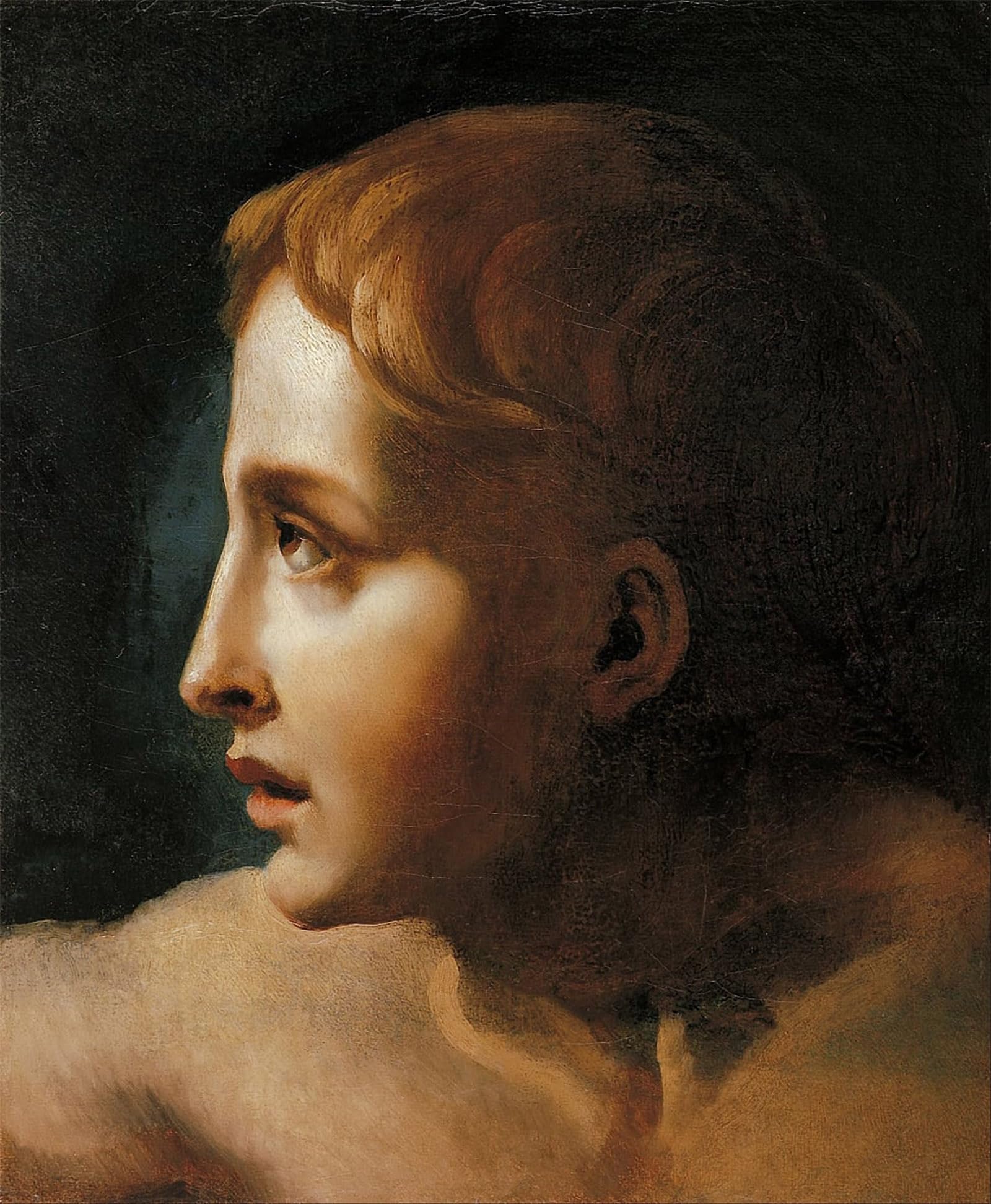 SERENDIPITP Abstract Painting Mural Print Picture Wall Decor Painting Head of a Youth by Theodore Gericault Vintage Wall Artwork for Home Decor 60x90cm