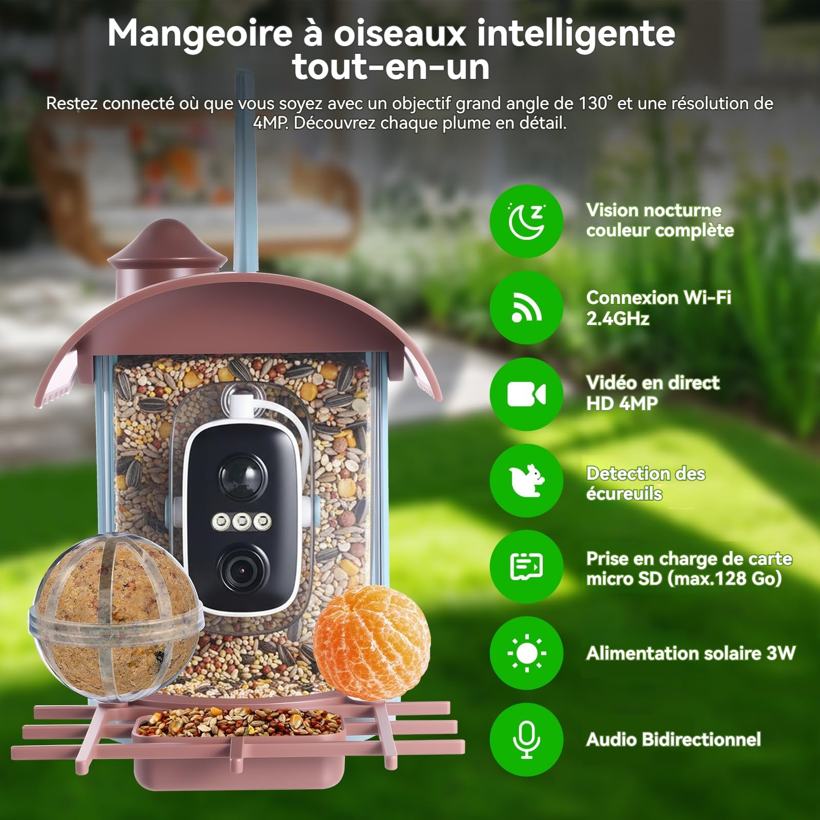 Nichoir à Oiseaux avec Caméra 4MP Solaire mangeoire Station d'alimentation Enregistrement vidéo Photo Identification IA Détection Mouvement Notification