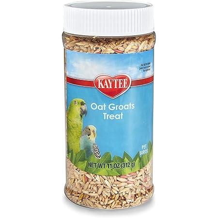 Kaytee Oat Groats Bird Treat,11-Ounce