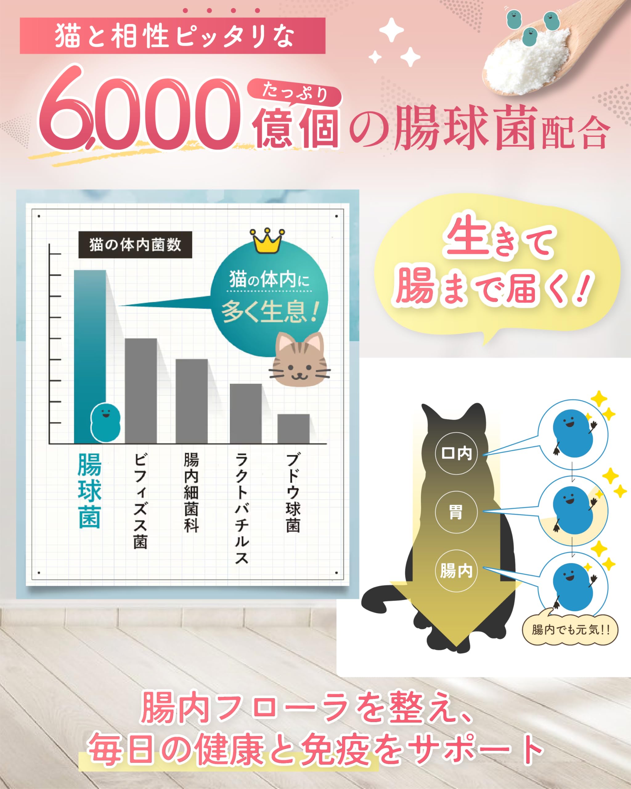 kokona 猫用サプリメント 3パック Amazon.co.jp: ここな kokona 猫 乳酸菌 酵素 サプリメント