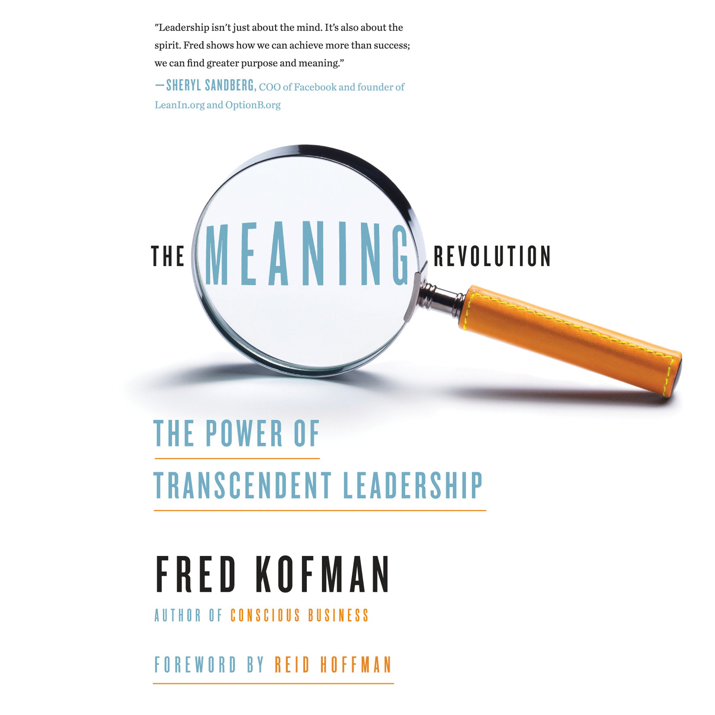 Cover art for The Meaning Revolution
