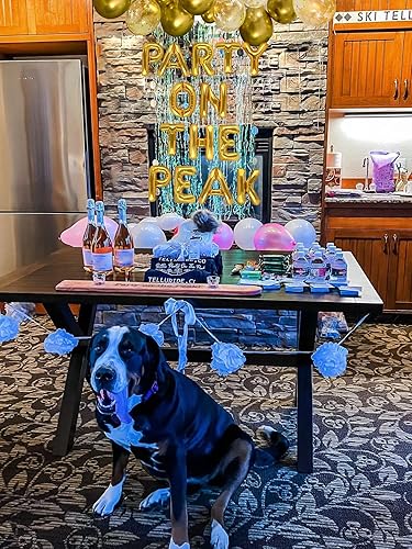 Miniatura 4 de 24 piezas de decoración de despedida de soltera para fiesta en el pico, cartel de fiesta en el pico, decoración de compromiso de montaña, decoración