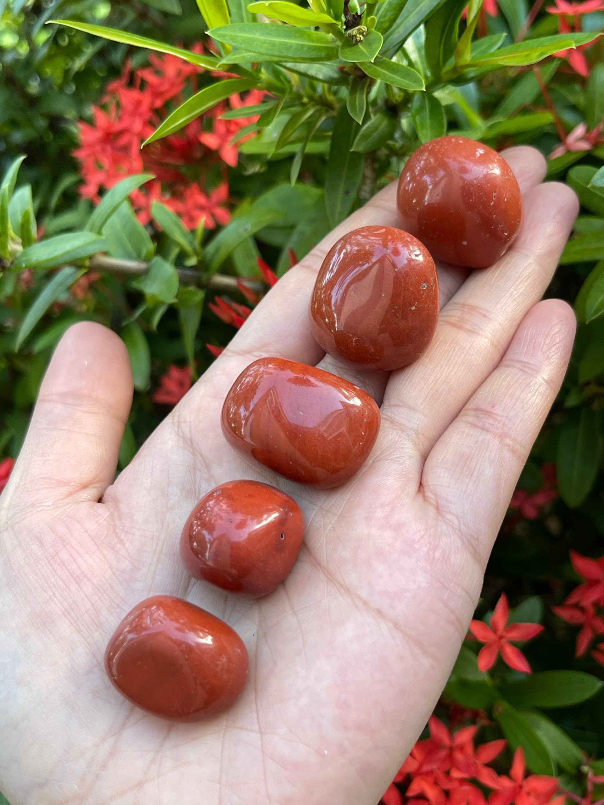 GAF TREASURES 5 Pcs Red Jasper Tumbled Stones, Polished Red Jasper Gemstone, Red Jasper Healing Crystals (Red Jasper)