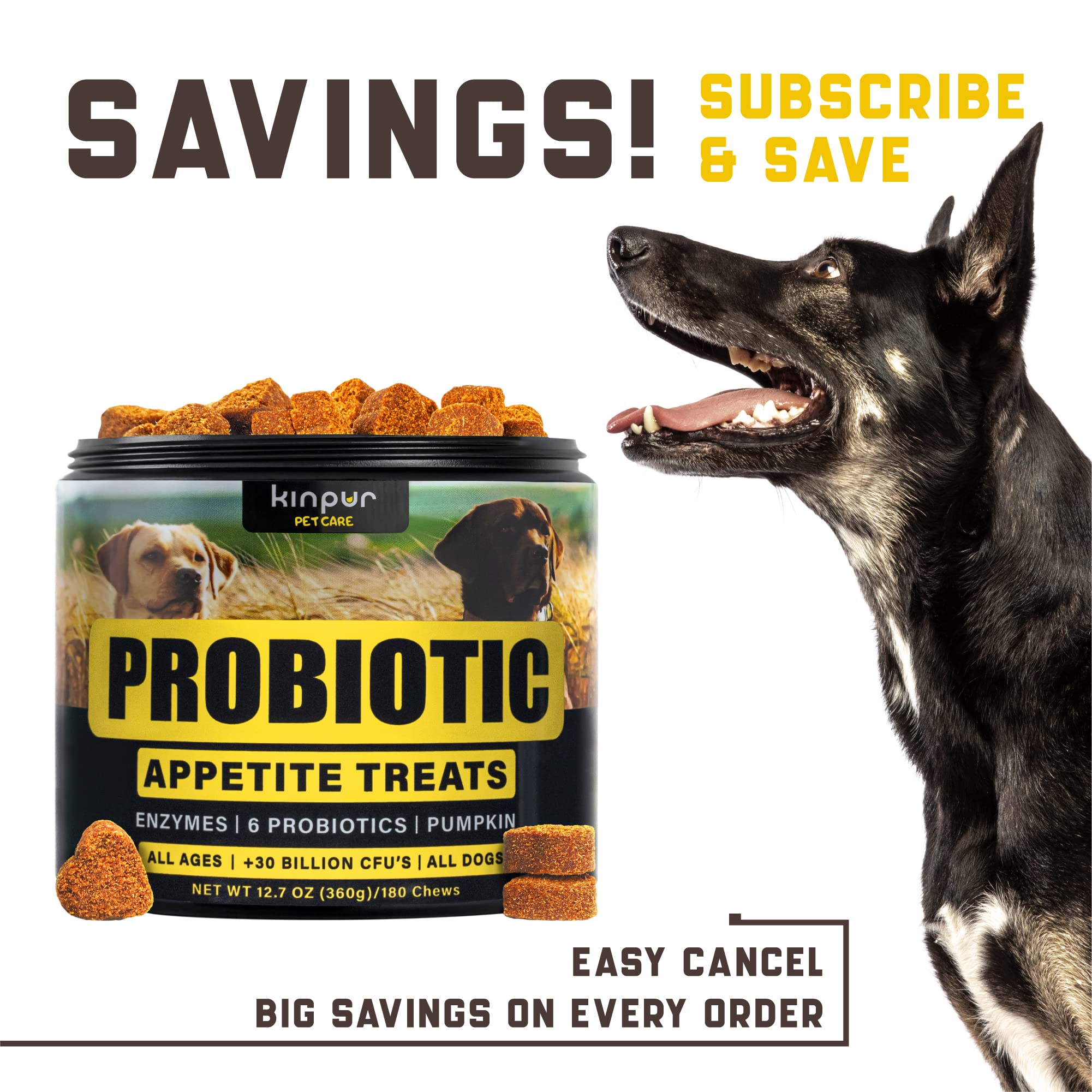 Can Probiotic Help Dogs Dry Skin