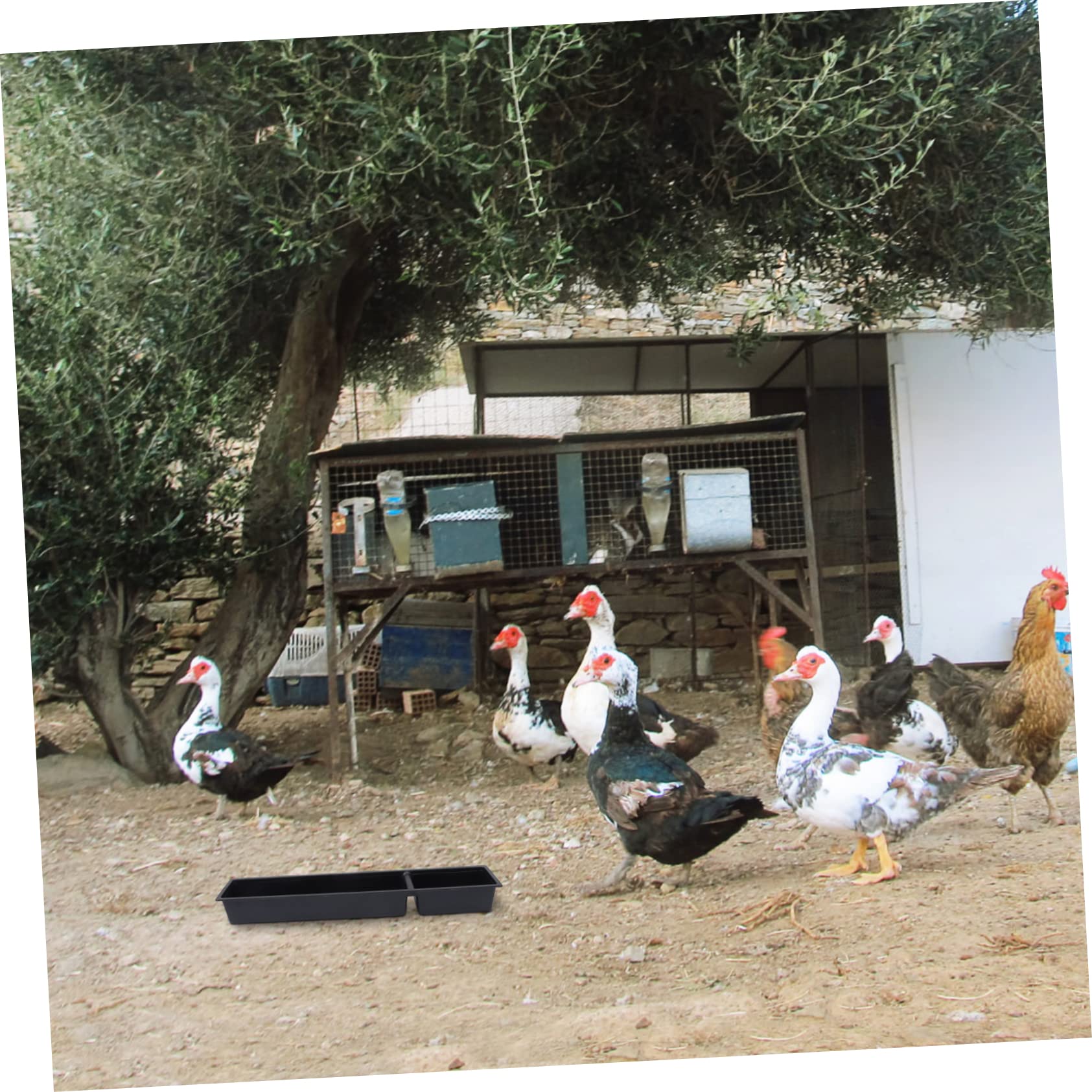Mangiatoia per Pollame in Plastica Nera 2 Pezzi, Facile da Pulire
