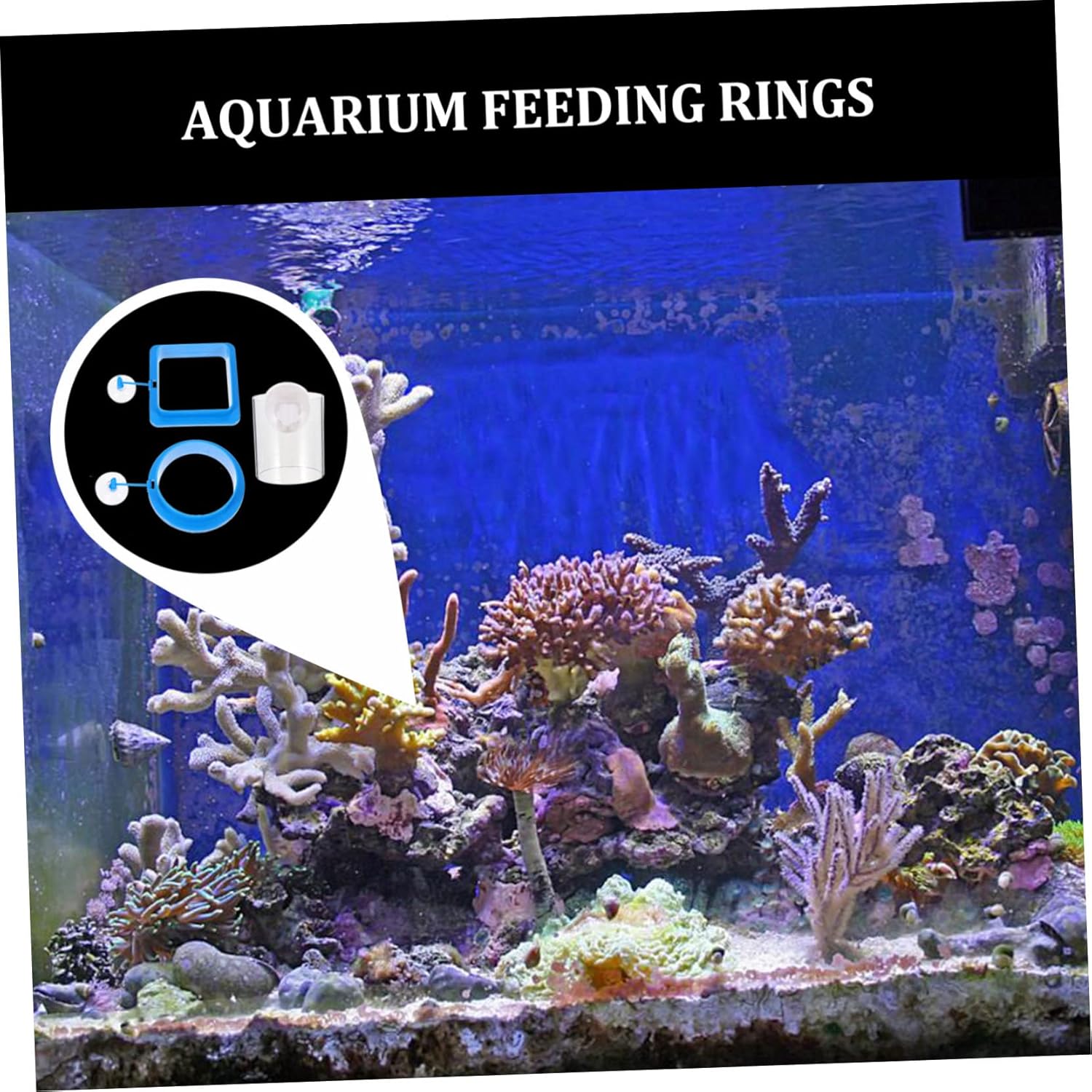 balacoo 12pcs Floating Fish Feeding Rings Durable Feeding Circles for Aquariums Prevents Food to Install Suction Cup for Tropical Fish and Tanks