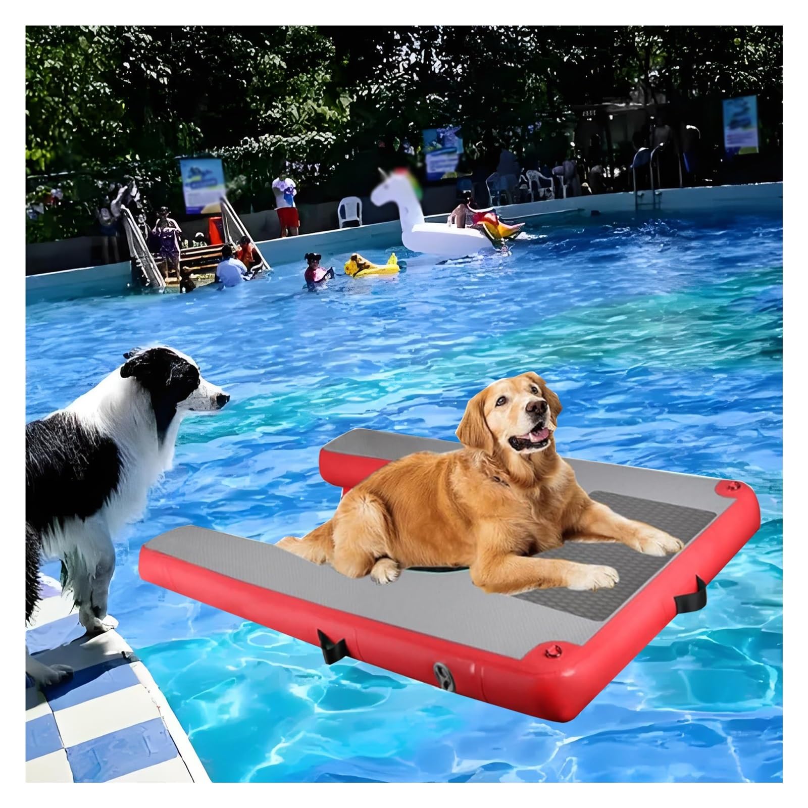 Collapsible Dog Pool Ramp, Anti-Slip Water Platform with Accessories for Safe Swimming