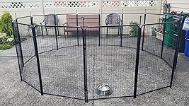 Review Image by Michael Michael