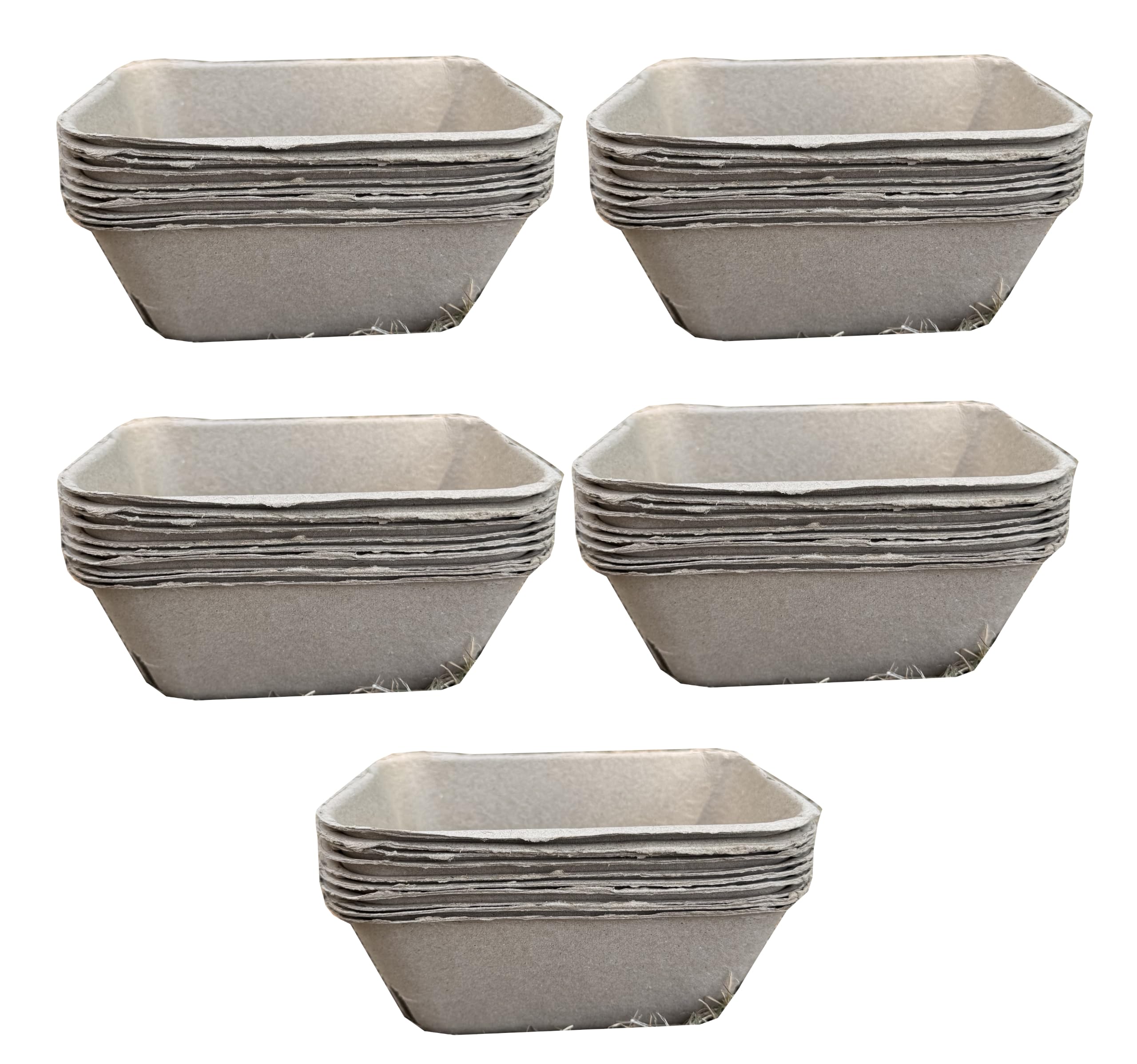 Selections Fruit Punnet Storage Trays Compostable Paper Fibre 500g - Pack of 50