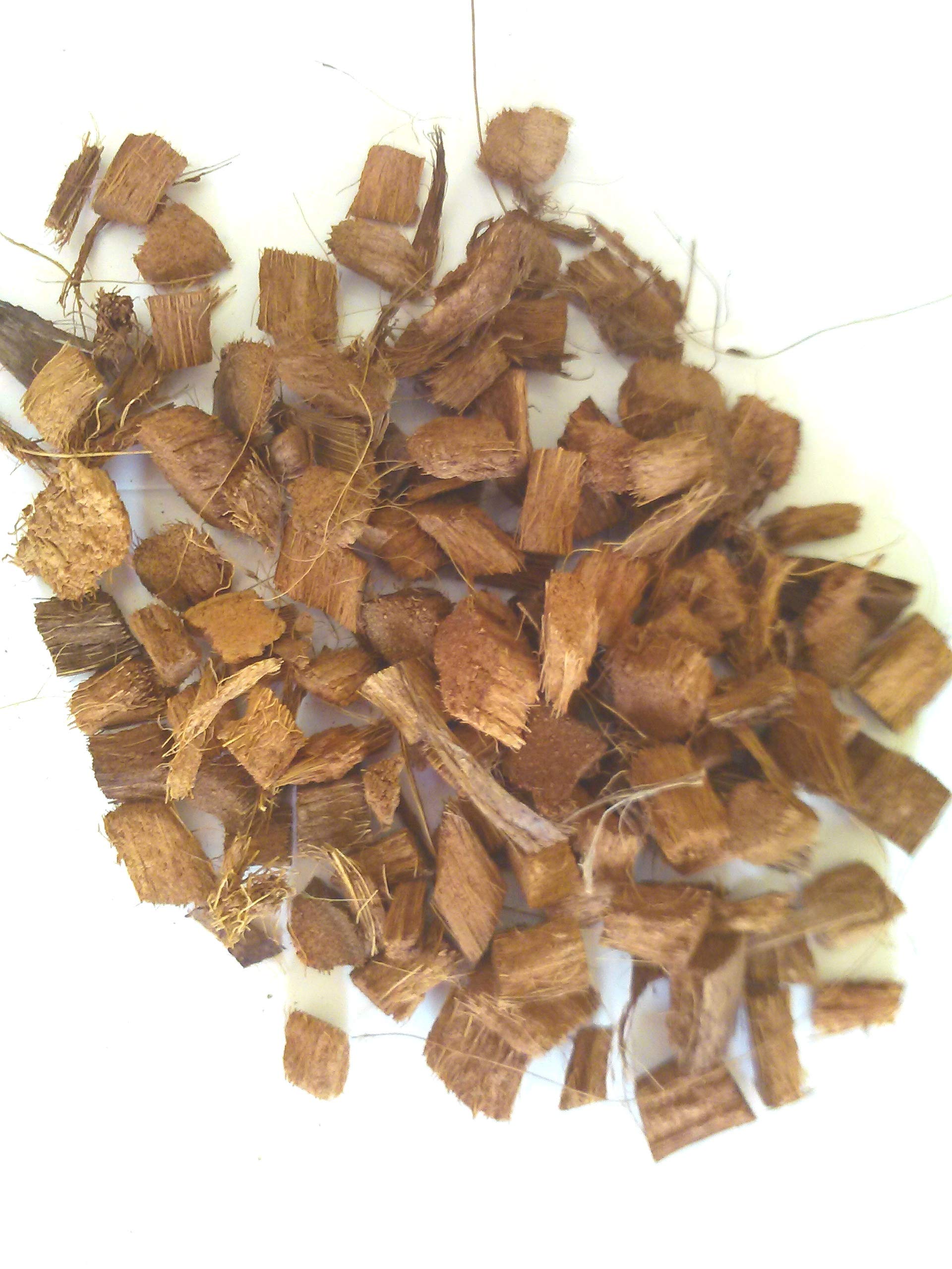 100% Pure & Naturally Coconut Husk Chips - for Gardening, Orchids and Hydroponics I Hindu Puja Samagiri - 750 Grams (B07NCL3P3Z) Amazon Price History, Amazon Price Tracker