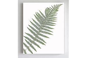 The Artful Fern: A Verdant Masterpiece for Botanical Enthusiasts