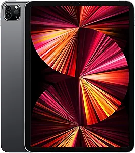 Apple 11-inch iPad Pro (Wi-Fi, 256GB) - Space Gray (Renewed)