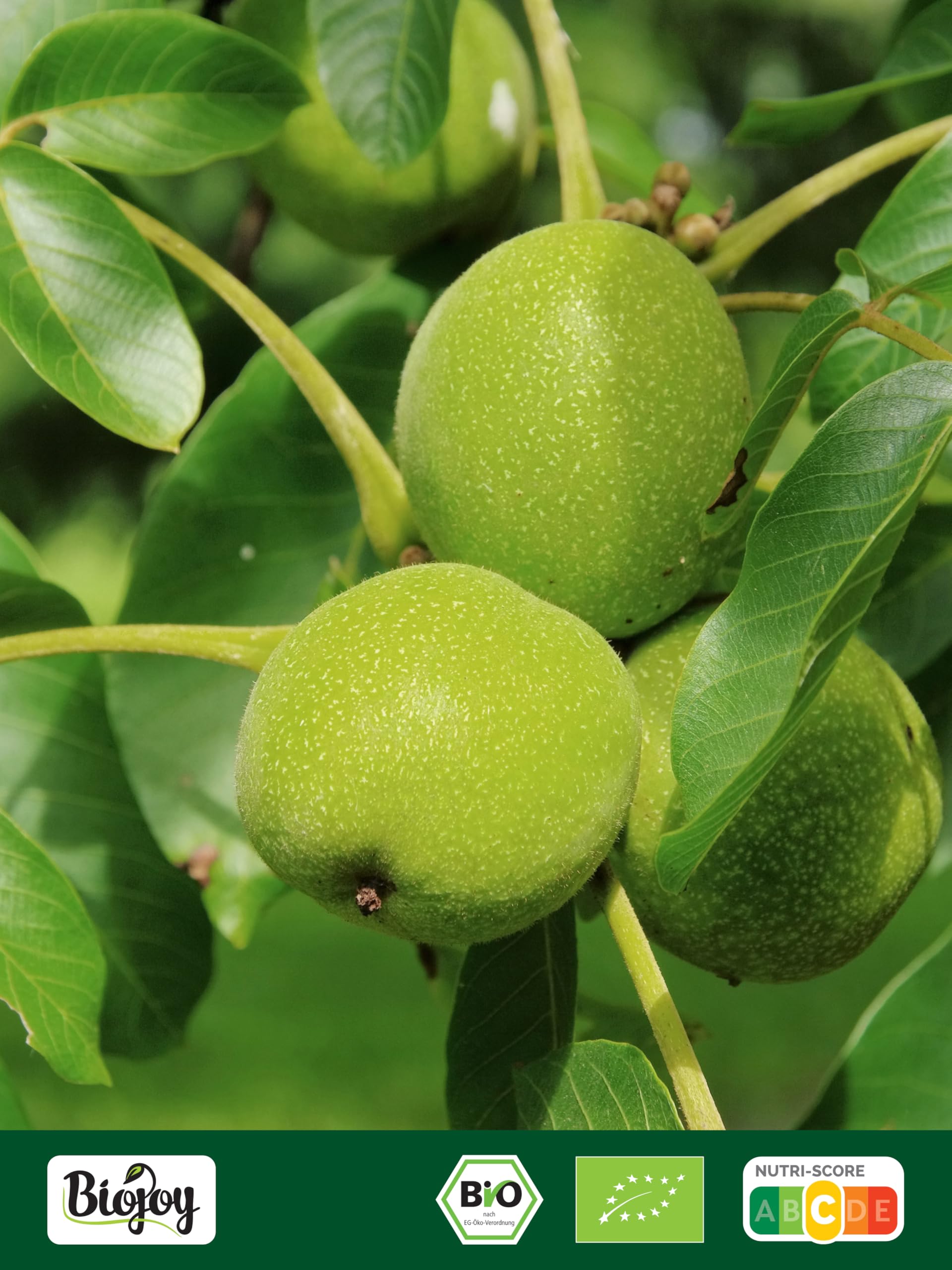 Biojoy Nueces Peladas Ecológicas (1 kg Mitades), crudas y sin aditivos (Juglans regia)