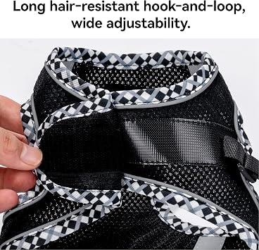 Petank Step in Dog Harness No Pull and Leash for Small Medium Dogs Cats.