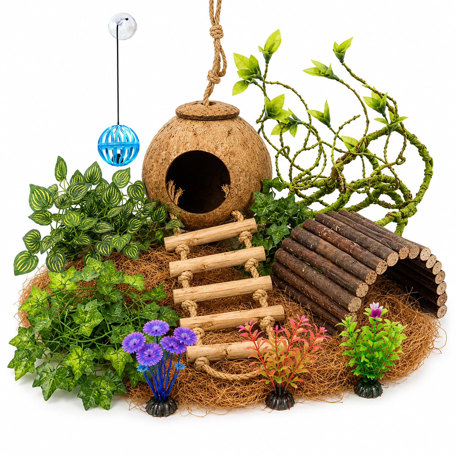 RUNANIA Crested Gecko Tank Accessories Kit