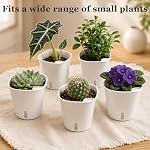 Paquet de 10 3 inch Pots d'auto-arrosage pour les plantes intérieures, petits pots auto-arrosage avec indicateur de niveau d'eau et évents multiples, planteurs auto-abreuvement pour les végétaux intérieurs, orchidée, sucent, herbes