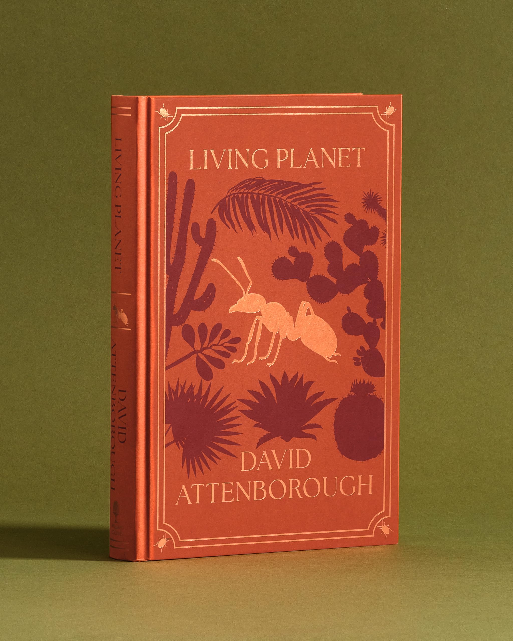 The Life Trilogy Boxset: The Greatest Story Ever Told