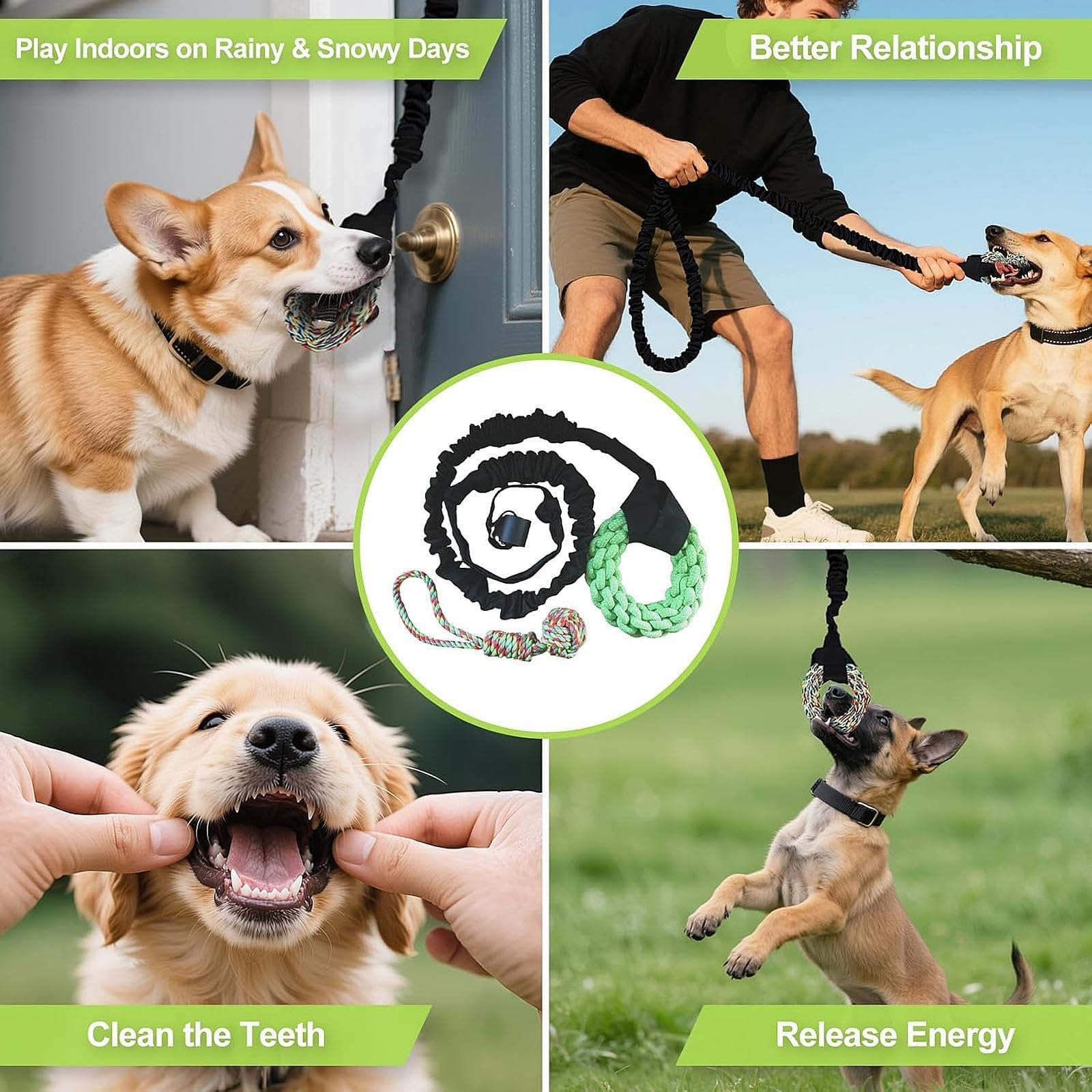 Jouet élastique pour Chien à Suspendre Aux Arbres, Corde de Jeu, Exercice pour Chiens de Toutes Tailles, Même Les Plus Turbulents, Jeu de à, Anneau Vert