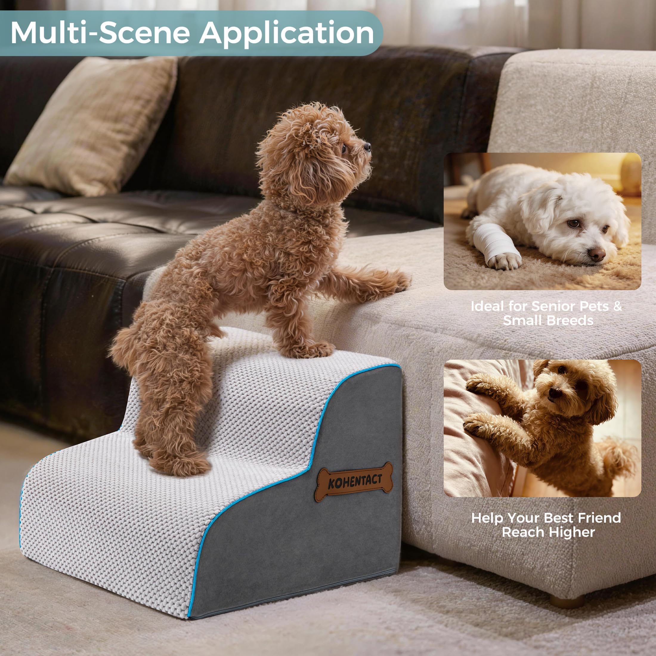 Escalera para Perros y Rampa para Cama Alta y Sofá, 33-61 cm Escaleras Desmontables para Perros Pequeños y Medianos, Espuma 40D Robusta, Antideslizante, Funda Lavable con Rodillo Quita Pelusas, Gris