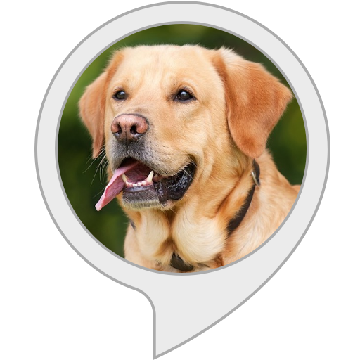 Doggo Daily Amazon.com: Daily Doggo : Alexa Skills