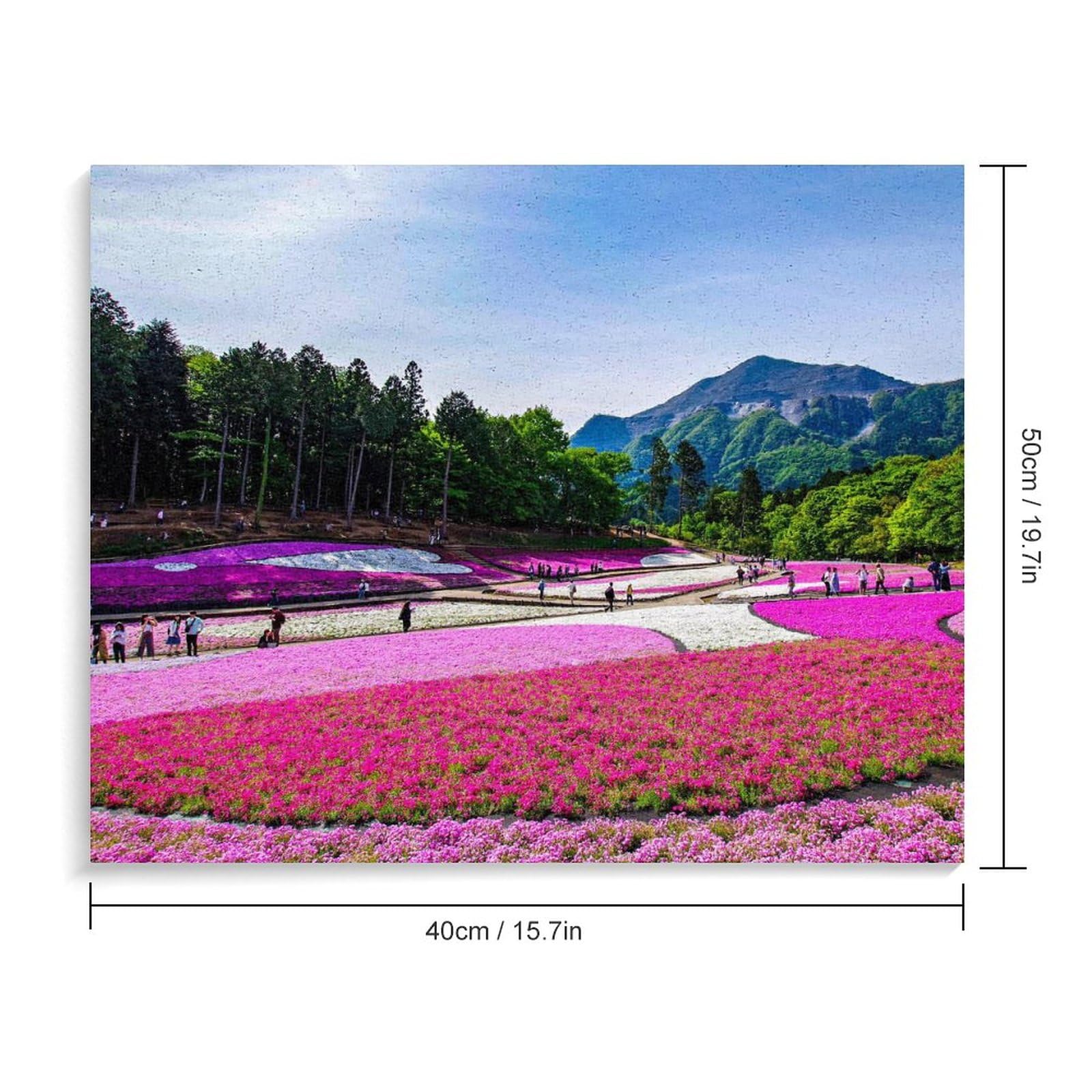 Amazon | 埼玉県 武甲山とシバザクラ 数字キットによる絵画 数字