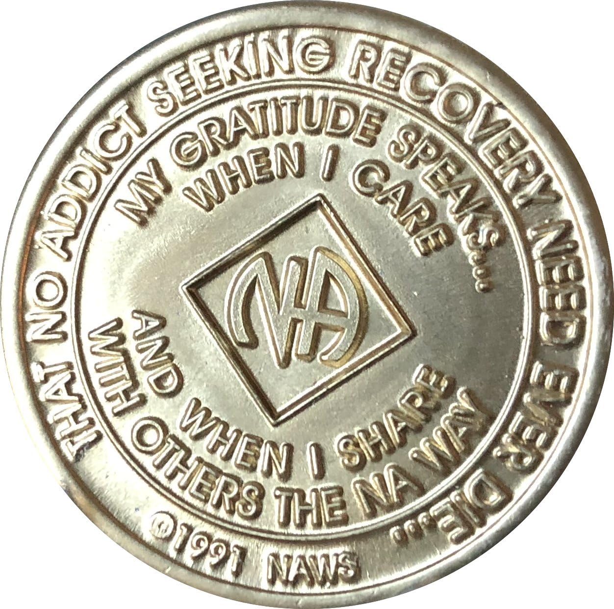 6 Year NA Medallion Official Narcotics Anonymous Chip VI