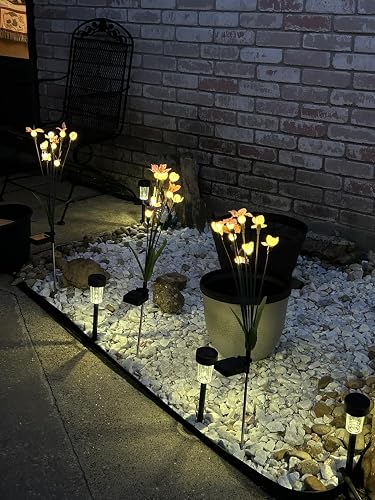 Review Image by Nancy Numan