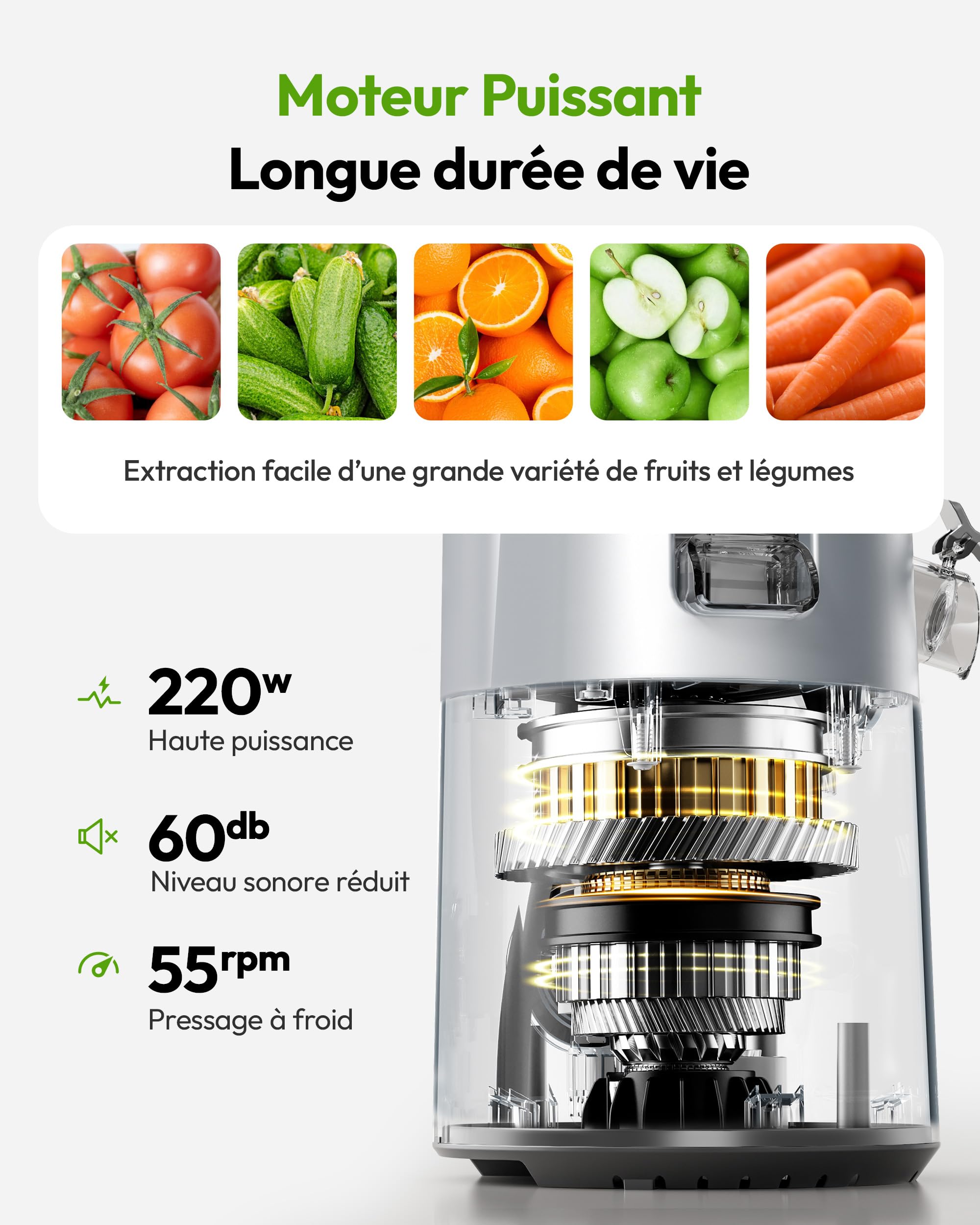 EUHOMY Extracteur de Jus à Froid 220W Double Vis 7 Étapes Rendement 99% Triple Filtre Large Goulotte 135mm Réservoir 1,8L Silencieux 55 tr/min