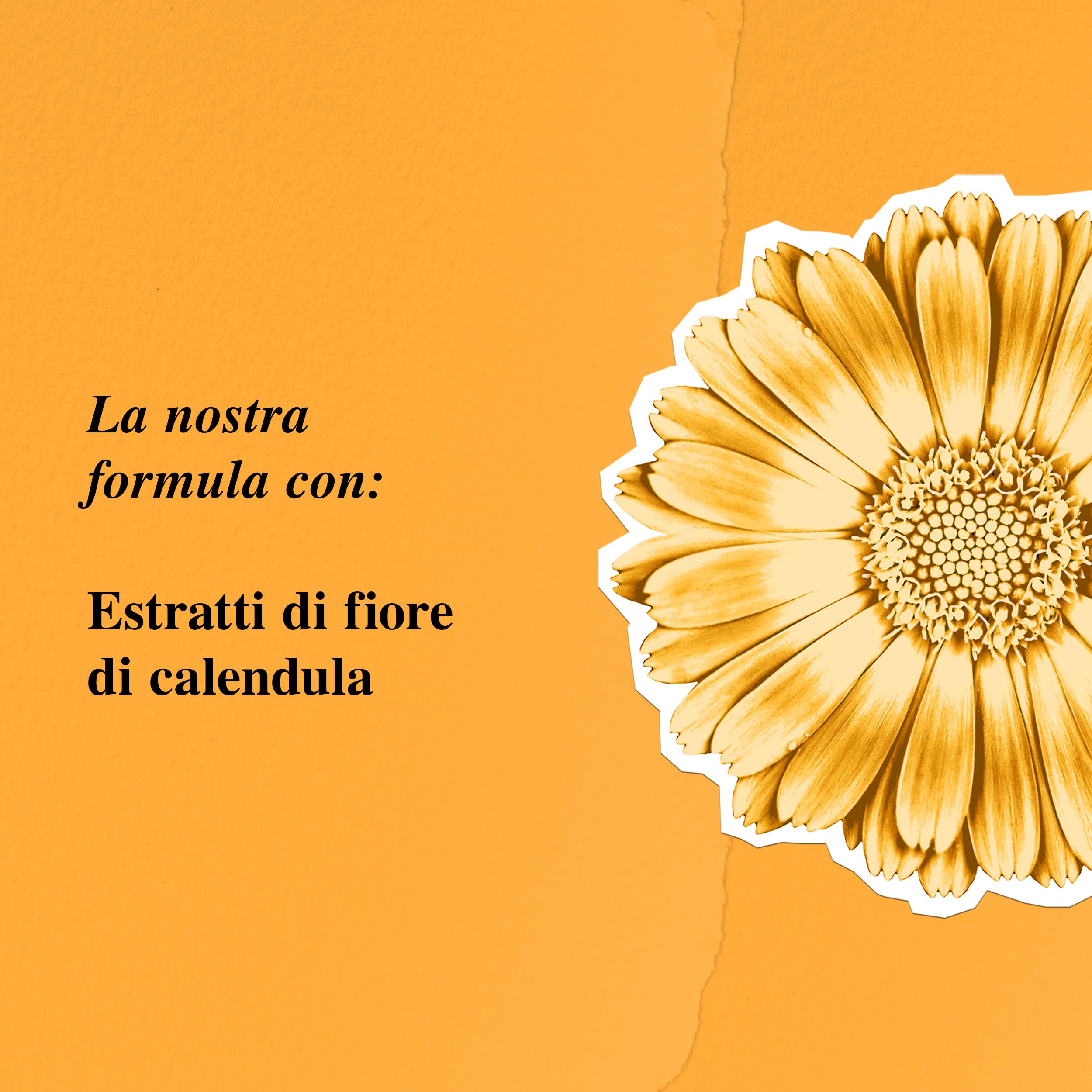 KIEHL'S Calendula Serum-Infused Water Cream, Crema Viso Idratante, Per Tutti i Tipi di Pelle, Azione Lenitiva, Pelle Morbida e Luminosa, Con Siero di Calendula, 50 ml