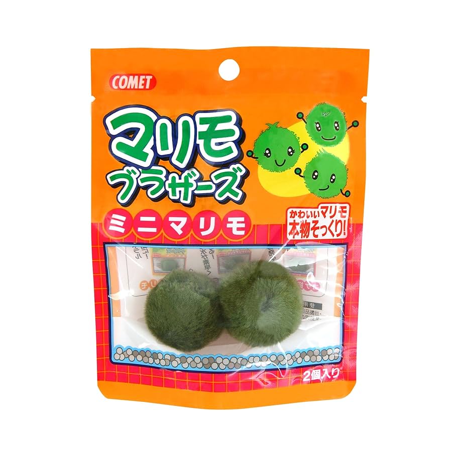 まりも様 まりも-marimo-🦀 (@yagokoromarimo) / Posts / X