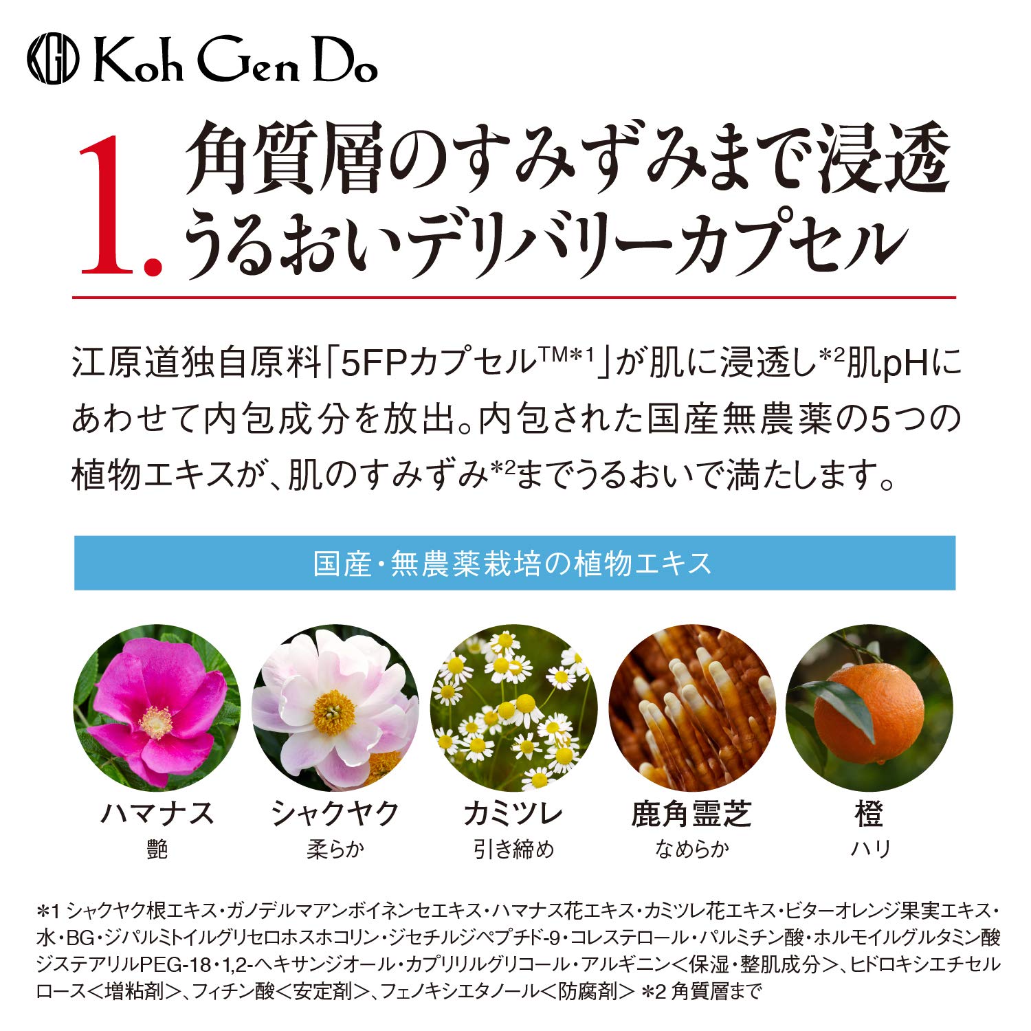 Amazon | コウゲンドウ(Koh Gen Do) 江原道 オリエンタルプランツ