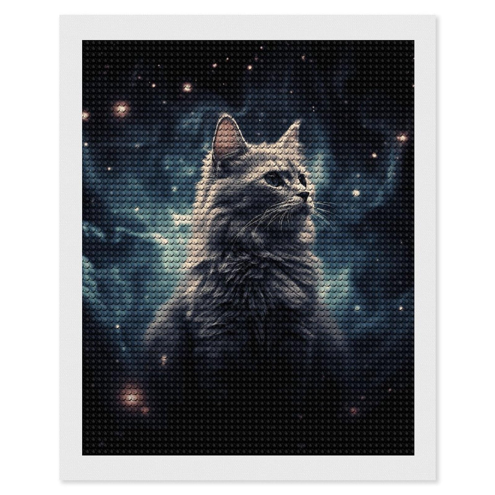 Diamond Painting Kits for Adults - DIY Diamond Art Kits for Beginners - Full 5D Paint Drill Diamond Dots Paintings- A Cat in A Nebula Diamonds Pictures Gem Art and Craft Wall Decor 16"x20"