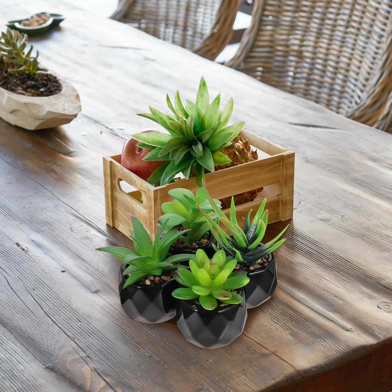 BESPORTBLE Lot de 4 Plantes Succulentes Artificielles Décoratives en Plastique et Céramique Noire, sans Arrosage, pour Rebord de Fenêtre ou Bureau