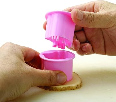 Skater Hello Kitty Vegetable Cutter