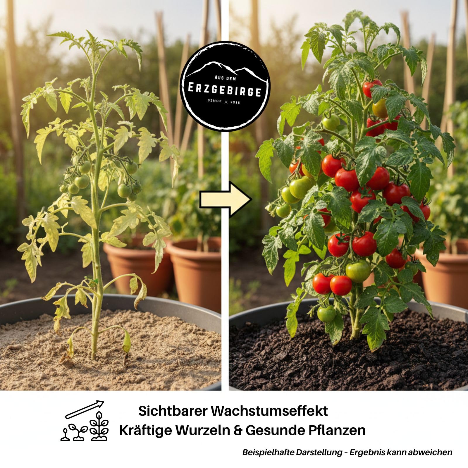 CarboVerte Kaluterra Schwarzerde Terra Preta, 20 L – Premium Pflanzenkohle Bodenverbesserer, Wasser- & Nährstoffspeicher, Nachhaltig, Für Beet, Hochbeet & Topfpflanzen