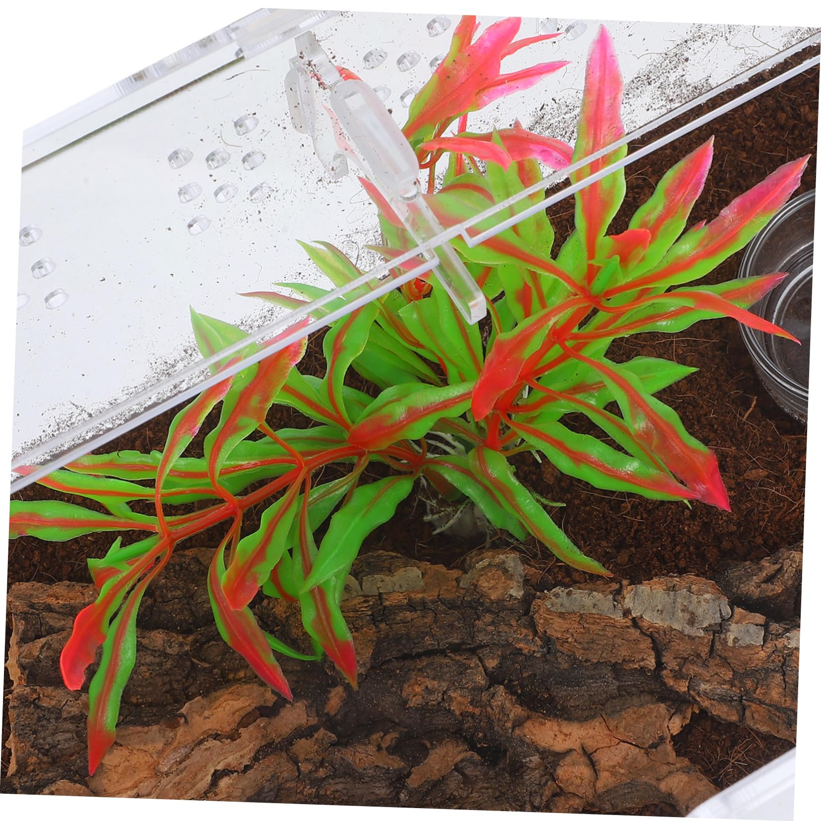SOIMISS Reptilien Terrarium Transparente Aufzuchtbox für Frösche und Kleine Reptilien Belüftete Terrarienbox mit Teiligem Zubehör