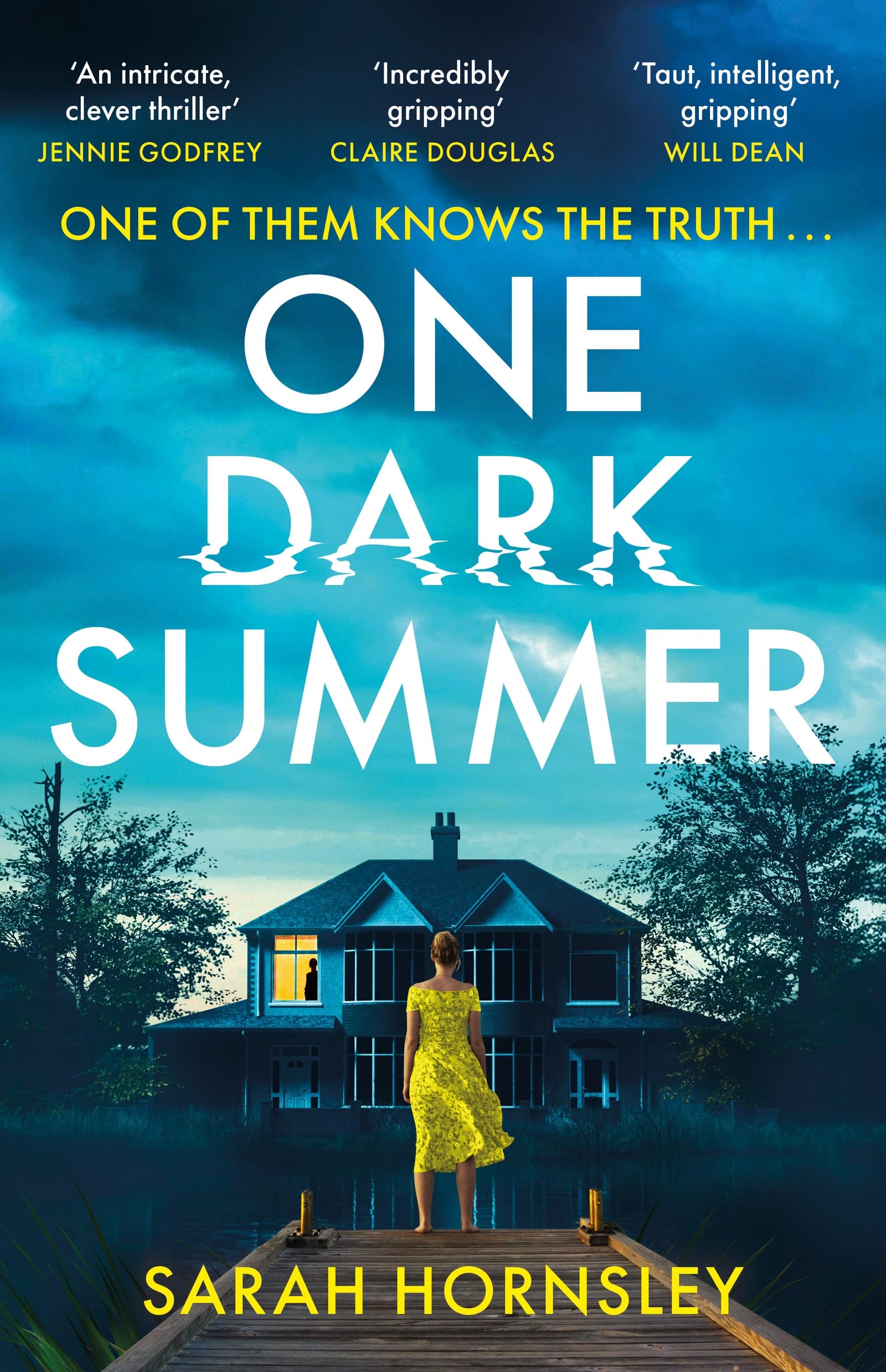 One Dark Summer by Sarah Hornsley (Hardback Book)