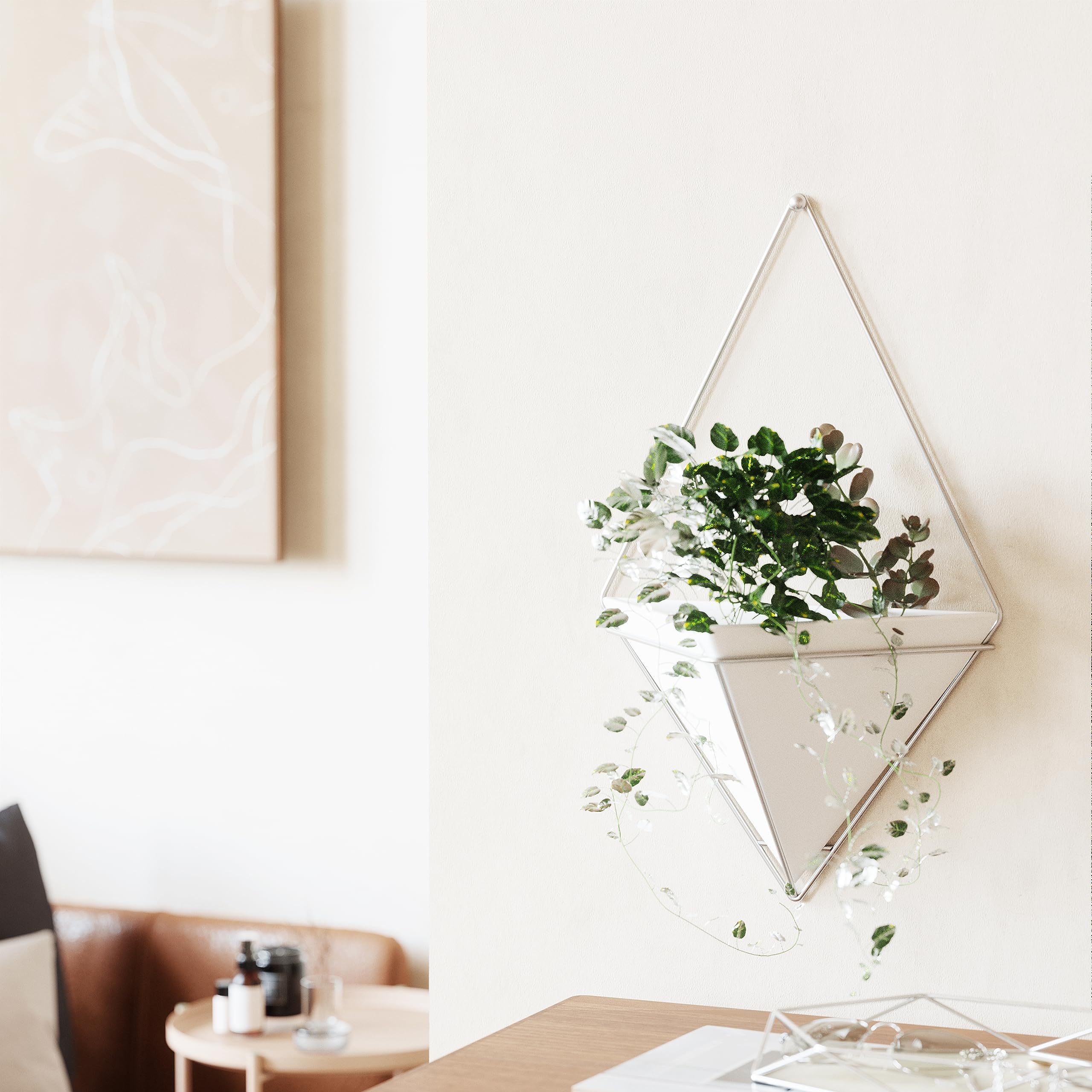 Amazon.com: Umbra Trigg Hanging Planter Vase Wall Decor, Pot and