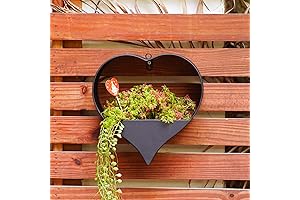 Metal Plant Hangers Indoor and Outdoor – Black Heart Shape Hanging Planters:...