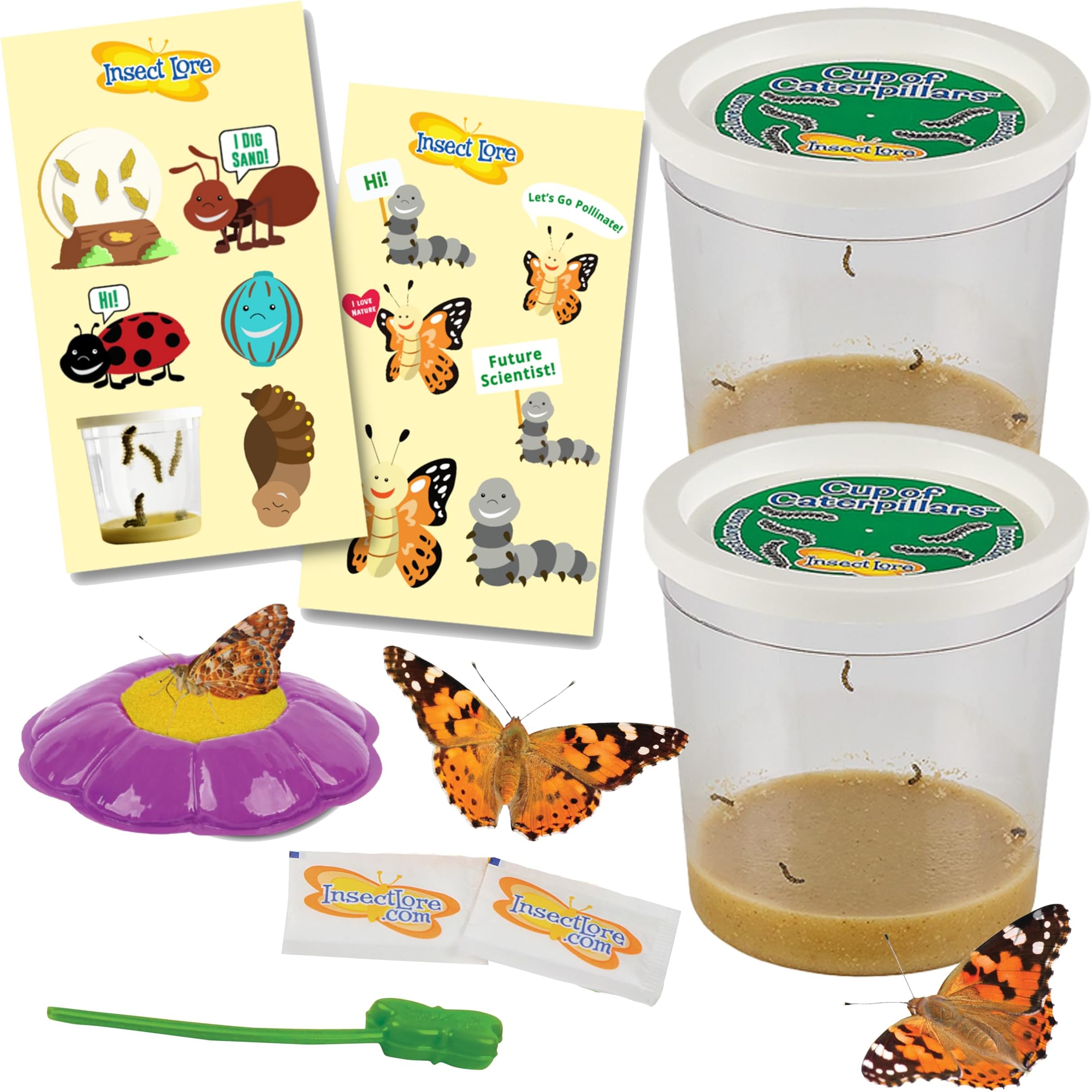 Insect Lore Two Cups of Caterpillars Deluxe - 10 Live Baby Caterpillars with Stickers - Raise and Relase Painted Lady Butterflies