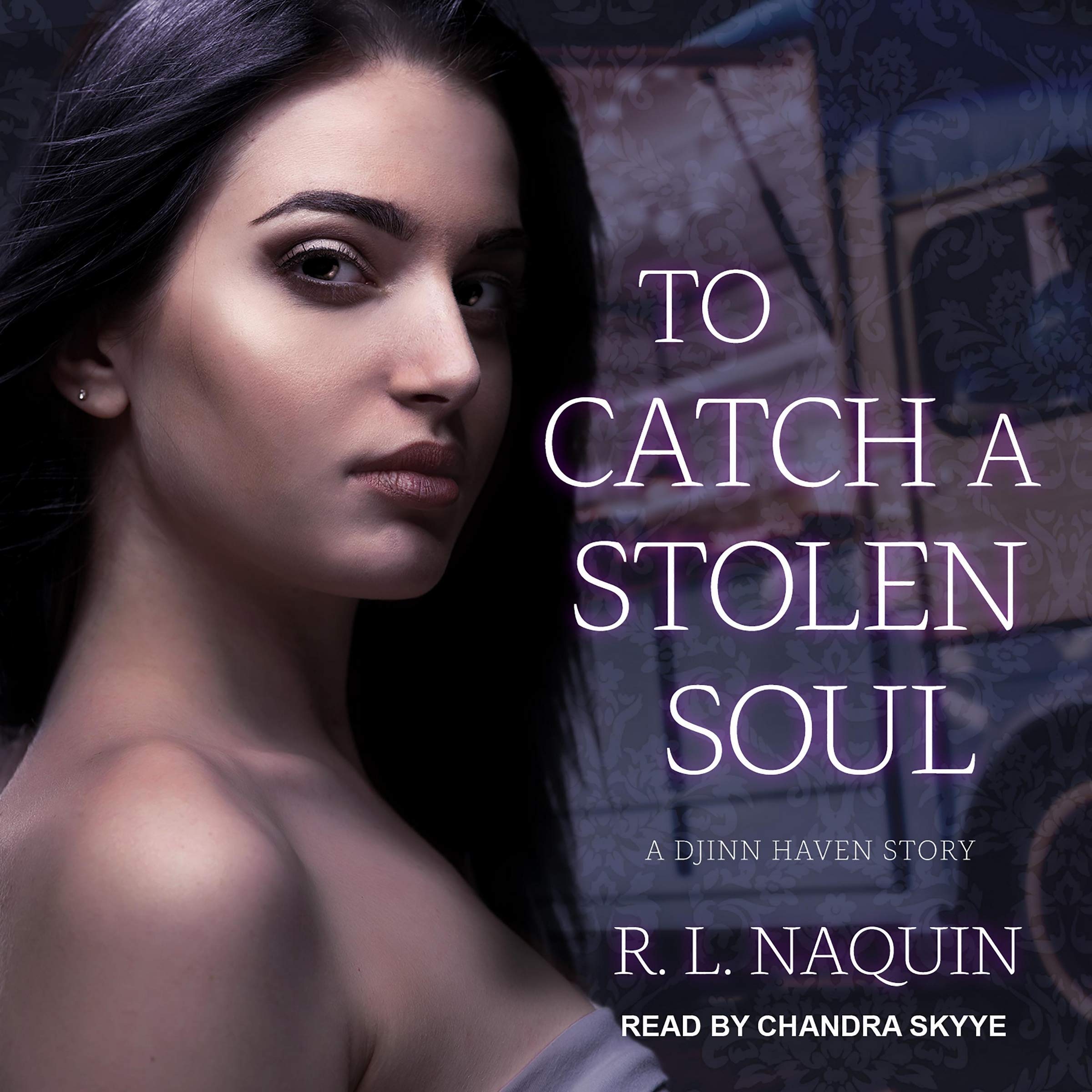 To Catch a Stolen Soul: A Humorous Urban Fantasy Novel (The Djinn Haven Series)