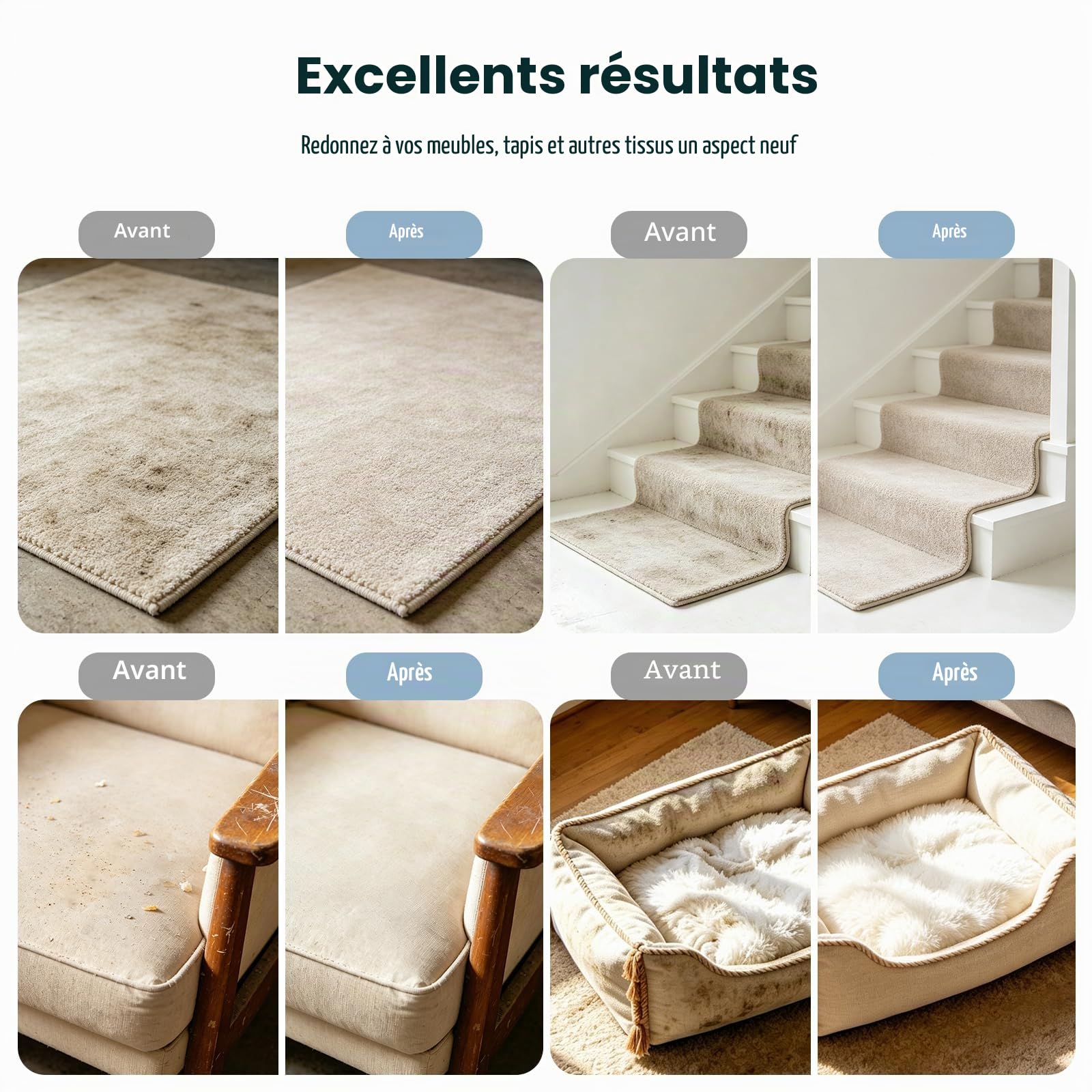 C1 600W Shampouineuse Canapé avec Fonction Autonettoyante, Aspiration 17kPa, Poils d’Animaux, Nettoyeur Tapis, Matelas, Voiture, Réservoir Double Blanc