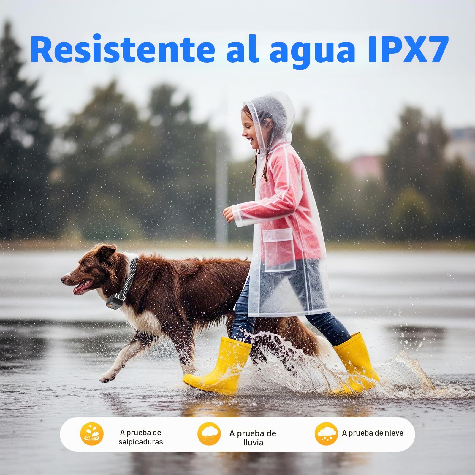 Localizador GPS Sin Suscripción para Perros y Gatos | Seguimiento en Tiempo Real, Monitor de Actividad y Salud, Historial de Ubicaciones, Alerta de Cerca Electrónica