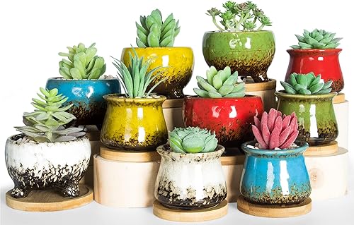 Miniatura 9 de ARTKETTY Set of 10 Succulent Pots with Drainage Trays, 2.1 Inch Ceramic Pots for Indoor Flower Plants, Small Square Cactus Planter Pots Bulk for